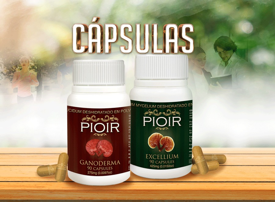 Capsulas de Ganoderma / Excellium